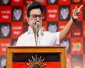तमिलनाडु में TVK को समर्थन पर DMK का कांग्रेस पर हमला, INDIA गठबंधन में दरार गहरी