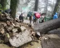 हिमाचल प्रदेश में मानसूनी बारिश से जनजीवन प्रभावित, 36 सड़कें बंद और 43 पेयजल योजनाएं बाधित
