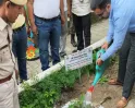 हिमाचल के राज्यपाल ने चलाया पौधारोपण अभियान, जलवायु परिवर्तन के बीच पर्यावरण संरक्षण पर दिया जोर