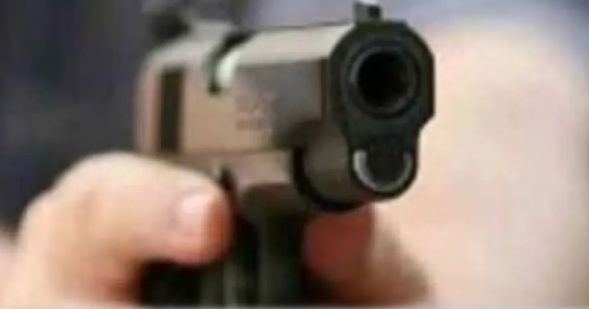 punjab-gun-violence-gangland-crisis