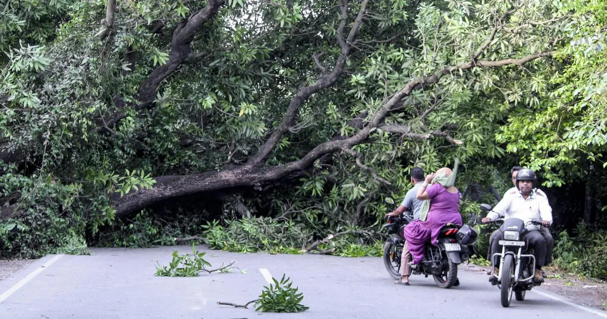 उत्तर प्रदेश में तूफान और भारी बारिश से 56 की मौत, CM योगी ने तुरंत राहत कार्य के निर्देश दिए