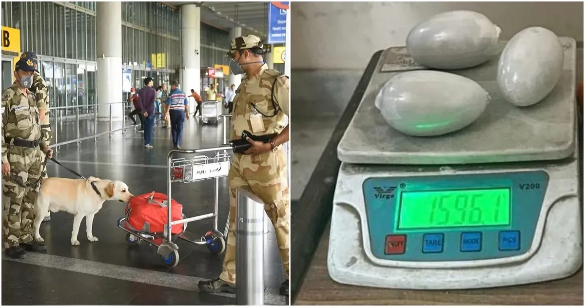 दिल्ली एयरपोर्ट पर बांग्लादेशी यात्री से 1.88 करोड़ का सोना बरामद, अंडरगारमेंट में छिपाया था