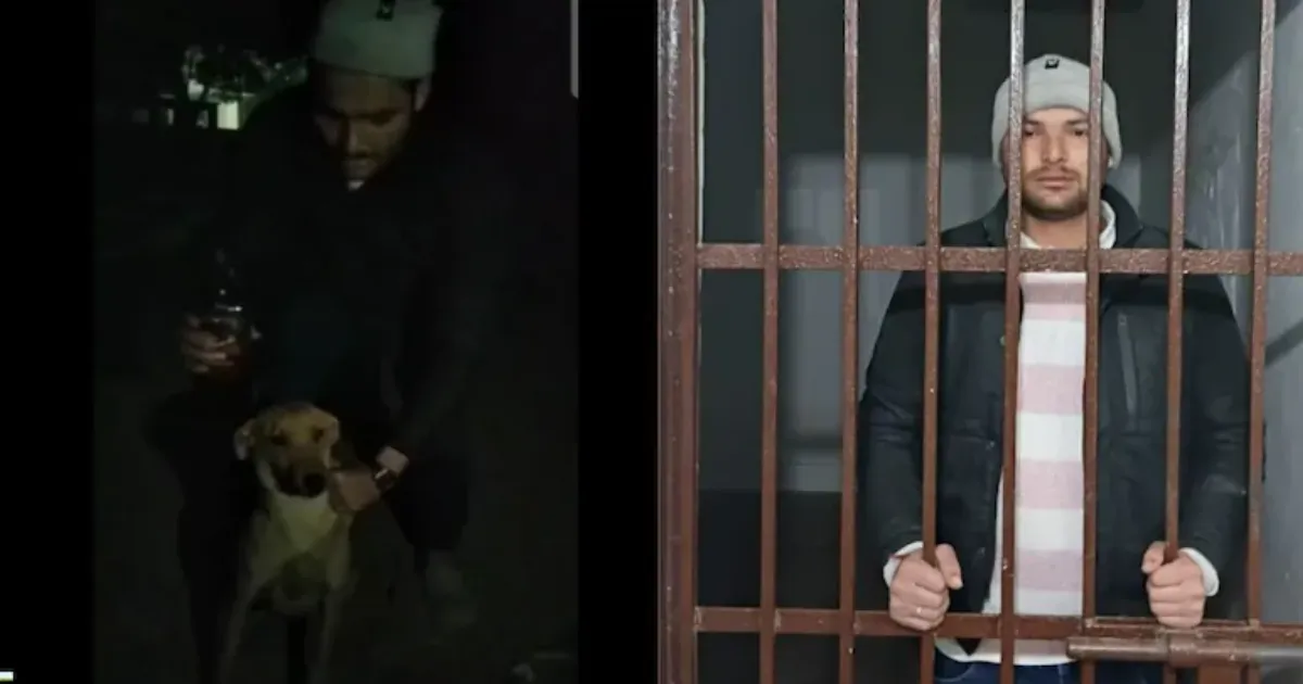 यूपी में हैवानियत: युवक ने कुत्ते को जबरन शराब पिलाई, वीडियो वायरल होने पर गिरफ्तार