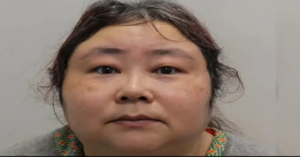 6 अरब डॉलर के बिटकॉइन घोटाले में गॉडेस ऑफ वेल्थ झिमिन कियान को यूके में जेल का खतरा