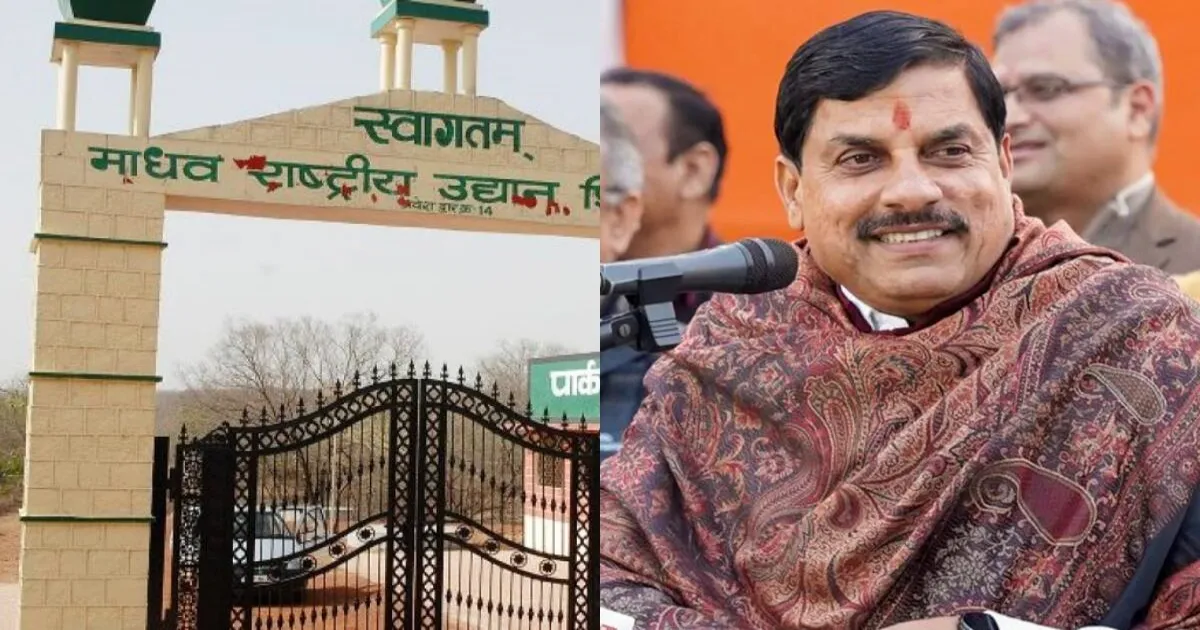 नौरादेही टाइगर रिज़र्व बनेगा एमपी का तीसरा चीता आवास, अगले मानसून से पहले होगी शुरुआत: सीएम मोहन यादव