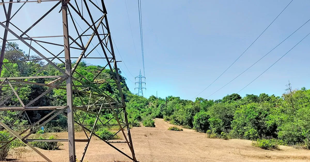 वन सलाहकार समिति ने शरावती पीएसपी परियोजना पर निर्णय टाला, पेड़ों की कटाई पर स्पष्टीकरण मांगा