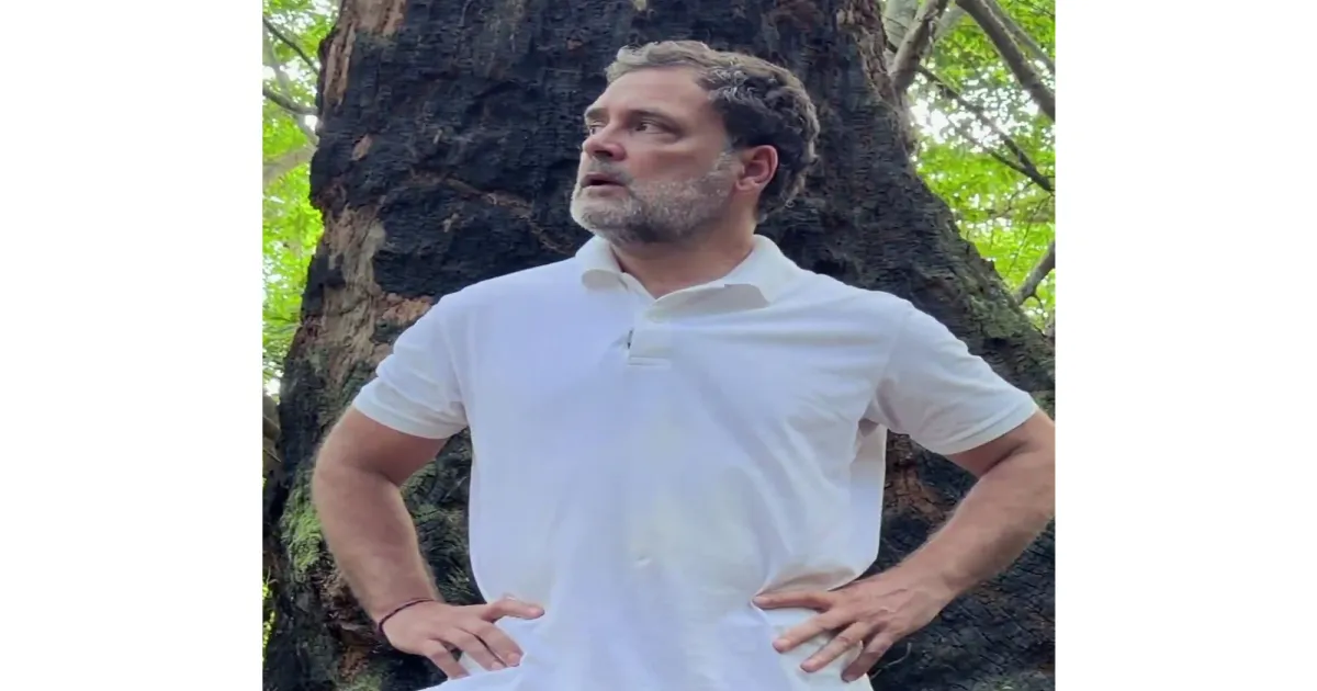 ग्रेट निकोबार प्रोजेक्ट पर राहुल गांधी का हमला, कहा– विकास के नाम पर विनाश