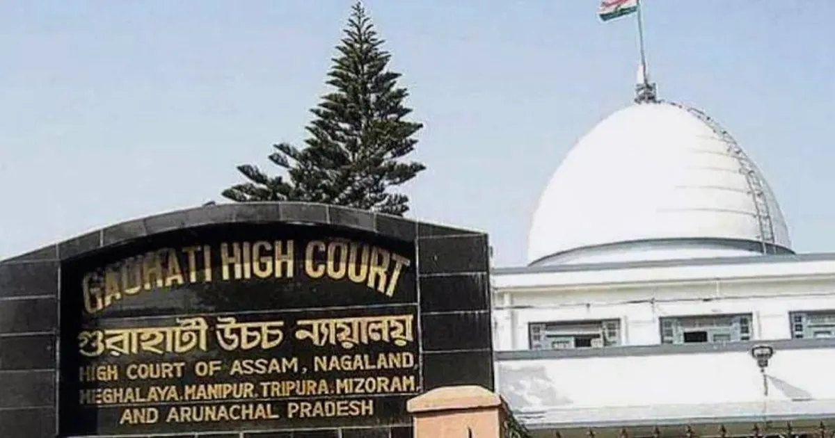नाबालिग मरीज के स्तनों को छूना सामान्य स्त्री रोग जांच नहीं, गुवाहाटी हाईकोर्ट की अहम टिप्पणी