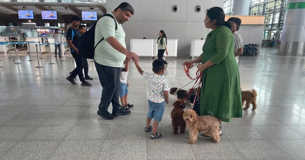 हैदराबाद हवाई अड्डे पर यात्रियों की चिंता कम करने के लिए थेरेपी डॉग्स की तैनाती