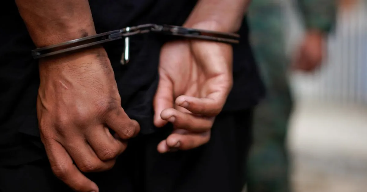 टिंडर स्विंडलर साइमन लेविव जॉर्जिया में गिरफ्तार, इंटरपोल के अनुरोध पर कार्रवाई