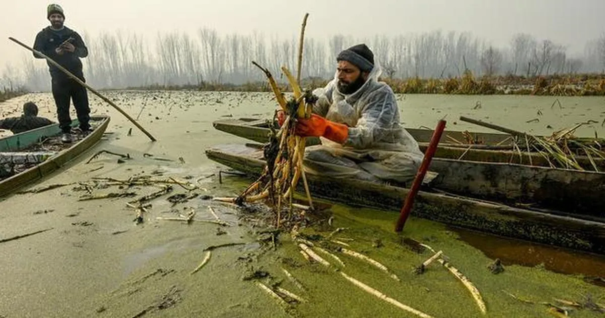 कश्मीर में शीतलहर तेज, अधिकांश स्थानों पर तापमान गिरा; कई क्षेत्रों में घना कोहरा