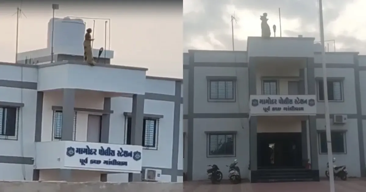 कच्छ में पुलिस थाने की छत पर चढ़ी महिला, आत्महत्या की धमकी; महिला पुलिसकर्मी घायल