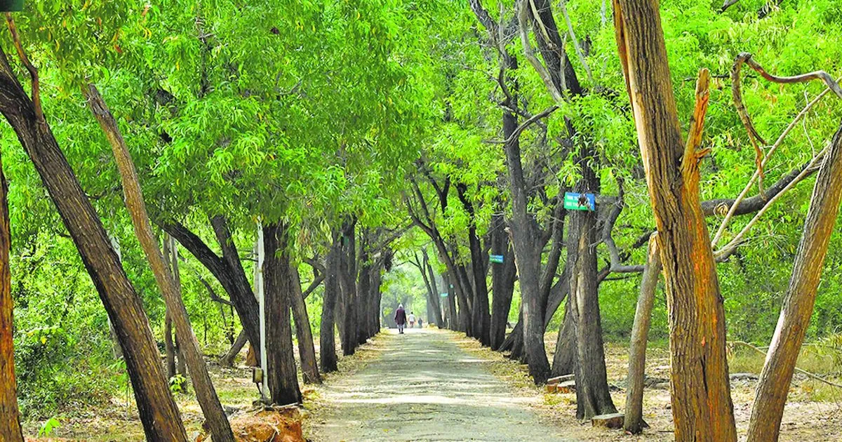 green-credits-linked-ecological-improvement