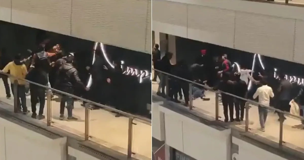 नोएडा के गार्डन गैलेरिया मॉल में बाउंसरों की बर्बरता, दो युवकों से मारपीट; सात गिरफ्तार