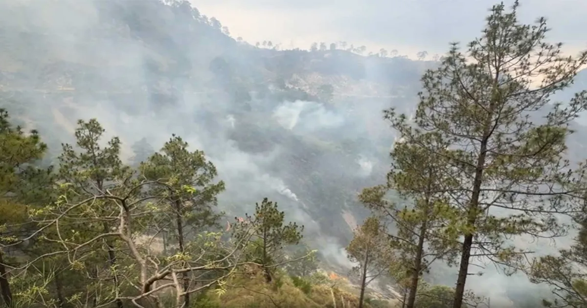 रियासी के सलाल वन क्षेत्र में भीषण आग, काबू पाने के लिए युद्धस्तर पर अभियान जारी