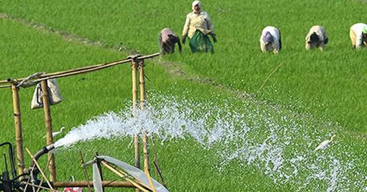 असम के 20 लाख से अधिक किसानों को पीएम-किसान योजना के तहत ₹422 करोड़ की मदद
