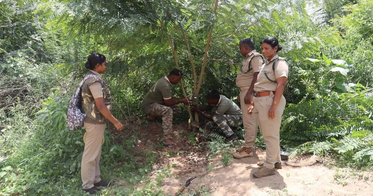 ईरोड में तेंदुए की गतिविधियों पर नजर रखने के लिए 10 स्थानों पर कैमरा ट्रैप लगाए गए