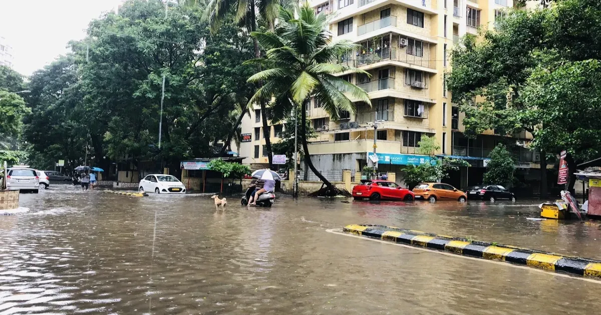 मुंबई, ठाणे और पालघर में IMD का रेड अलर्ट, भारी बारिश से जनजीवन प्रभावित; लोकल ट्रेन सेवाएं भी प्रभावित
