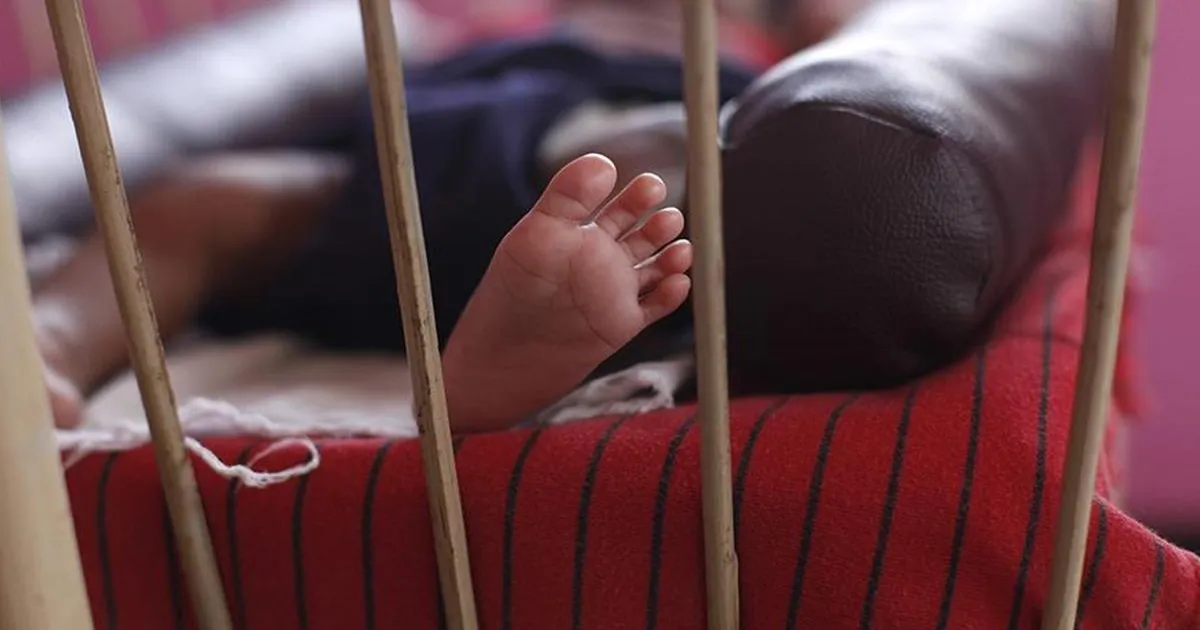 muskan-blue-drum-murder-case-gives-birth