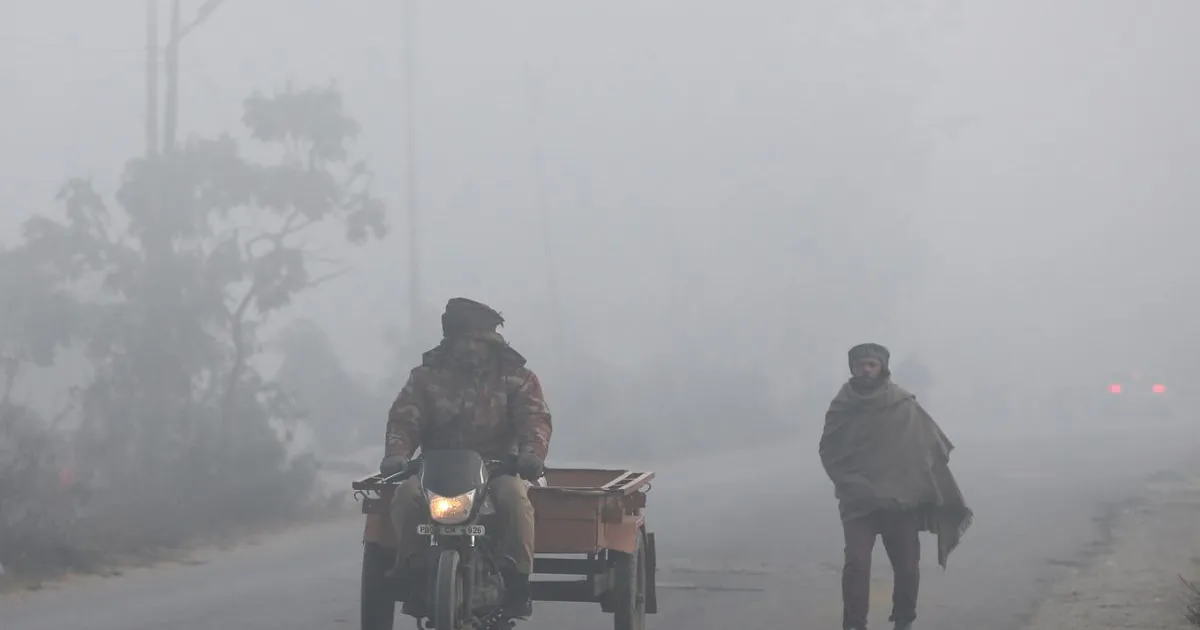 पंजाब-हरियाणा में घना कोहरा, होशियारपुर में सबसे ज्यादा ठंड, तापमान 4.8 डिग्री सेल्सियस