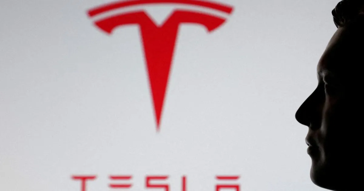tesla-market-share-decline-usa