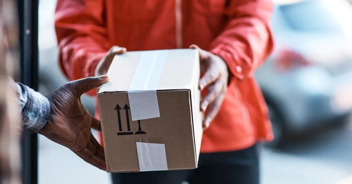 मानव बाल निर्यात घोटाले में ईडी की बड़ी कार्रवाई, नागालैंड-असम-चेन्नई में छापेमारी