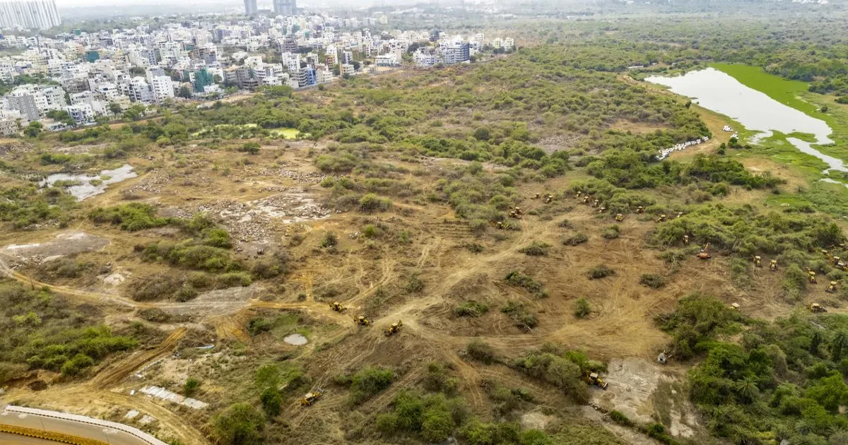 कांचा गाचीबौली में पहले पेड़ लगाएँ, तभी मिलेगी सच्ची सराहना: सुप्रीम कोर्ट ने तेलंगाना सरकार से कहा