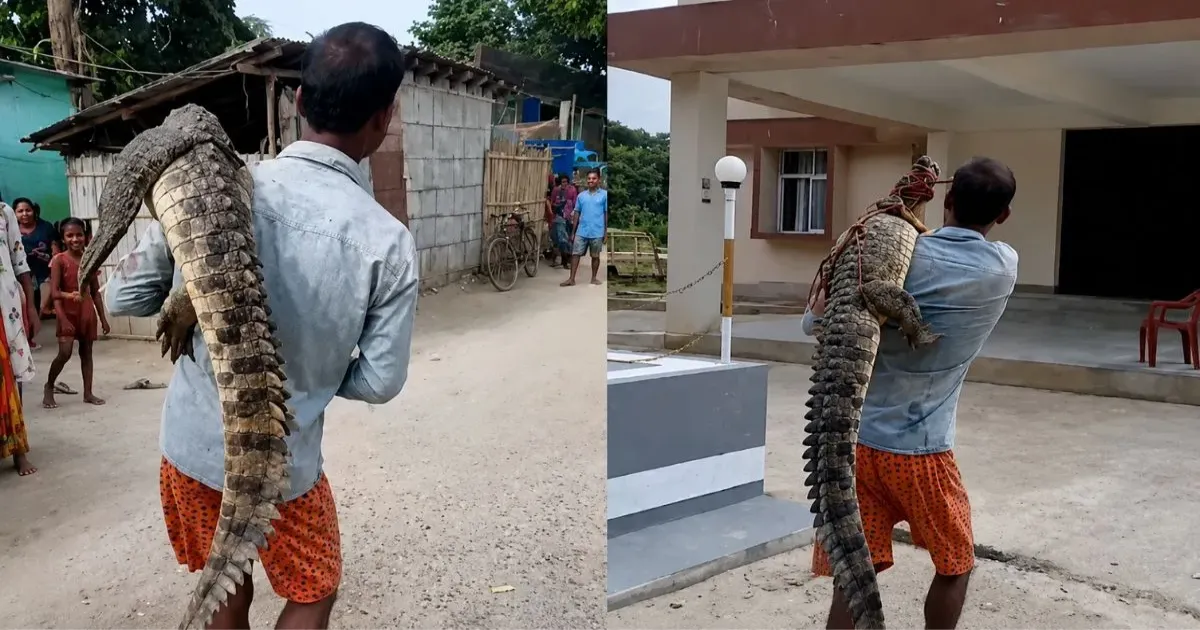 बिहार के सुपौल में कंधे पर मगरमच्छ लेकर थाने पहुंचा युवक