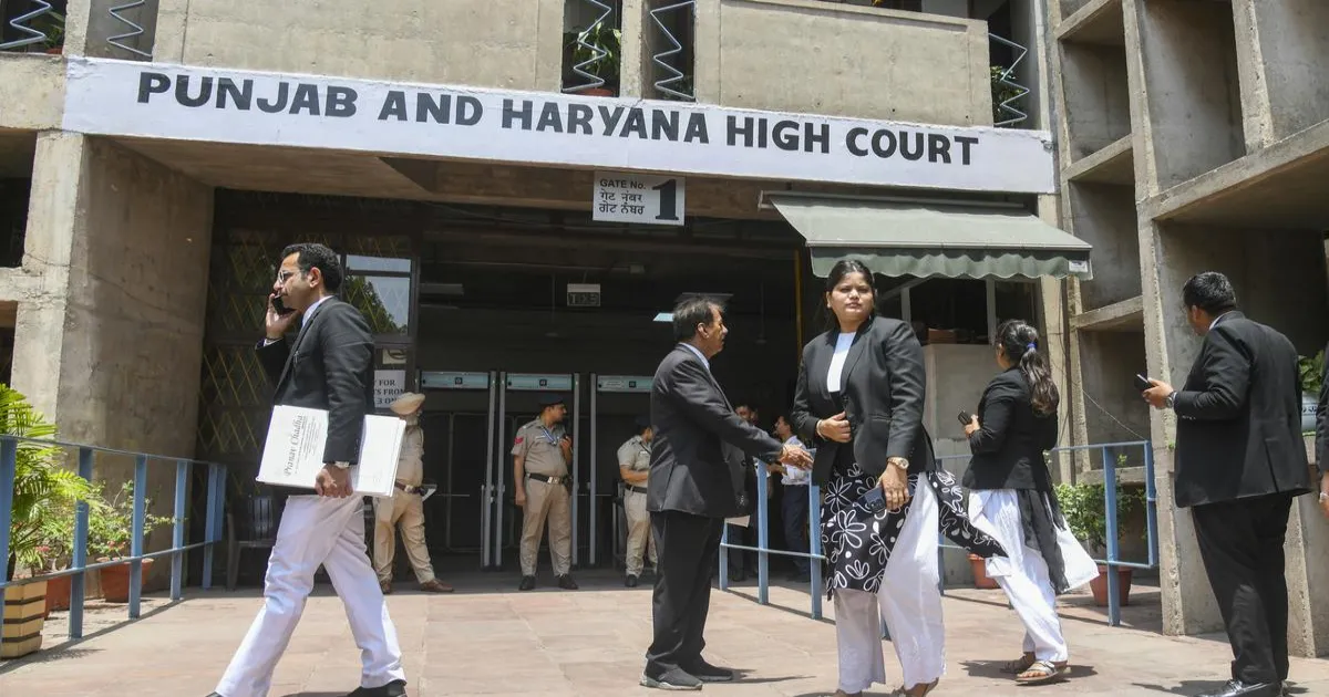गाय को विशेष दर्जा प्राप्त, इसके वध से शांति प्रभावित हो सकती है: पंजाब-हरियाणा हाईकोर्ट