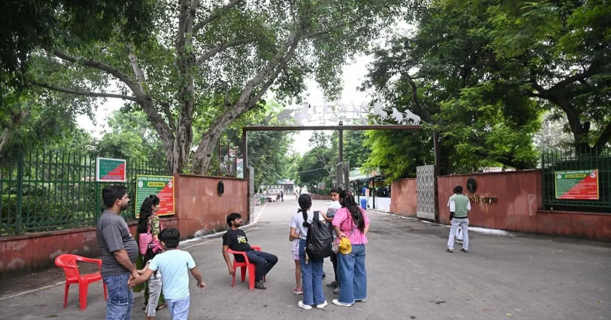 दिल्ली ज़ू बंद, पेंटेड स्टॉर्क्स में बर्ड फ्लू की पुष्टि