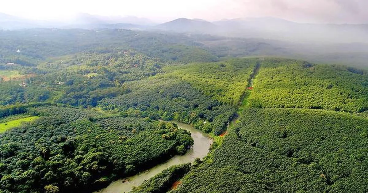 सबरीमाला हवाई अड्डे के लिए प्रस्तावित चेरुवल्ली एस्टेट पर केरल सरकार को झटका