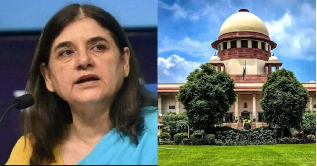 आवारा कुत्तों पर टिप्पणी को लेकर सुप्रीम कोर्ट ने मेनका गांधी को फटकारा, बॉडी लैंग्वेज पर भी जताई आपत्ति