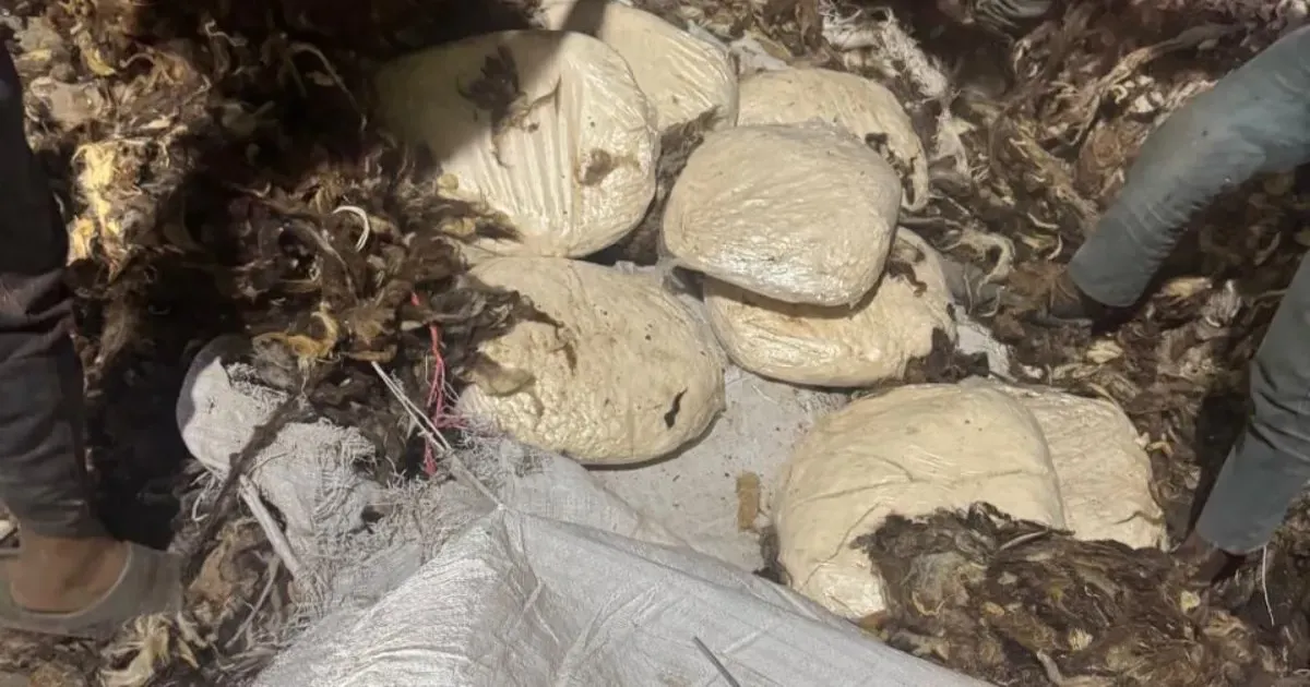 भारत में पहली बार कैप्टागन पकड़ी गई: एनसीबी ने जब्त की जिहादी ड्रग