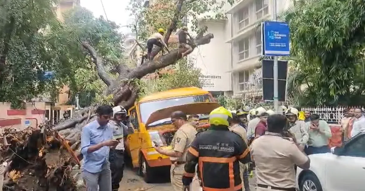 मुंबई के चेंबूर में बड़ा हादसा, स्कूल बस पर पेड़ गिरने से छात्र की मौत, एक फंसा, चार घायल
