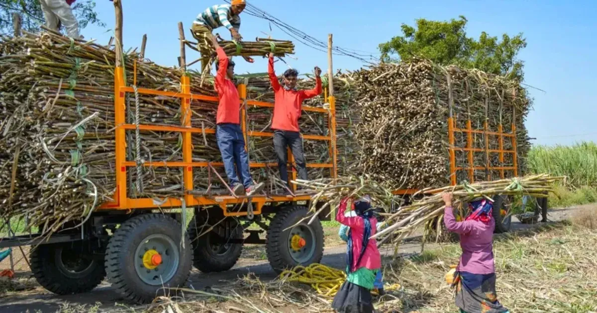 सितंबर से बदलेंगे चीनी बिक्री के नियम, जमाखोरी रोकने के लिए हर 15 दिन में मिलेगा कोटा