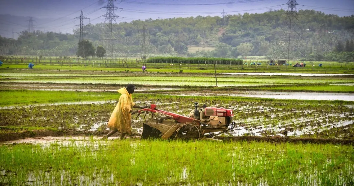 महाराष्ट्र सरकार का बड़ा फैसला: 2 लाख रुपये तक कृषि ऋण माफ, 56 लाख किसानों को मिलेगा लाभ