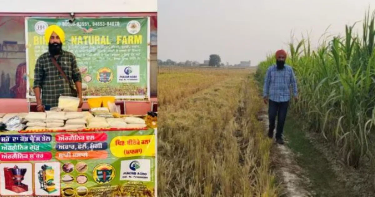 मानसा के किसान ने पराली से रची सफलता की कहानी: रासायन-मुक्त खेती से 20% अधिक आय और अंतरराष्ट्रीय पहचान