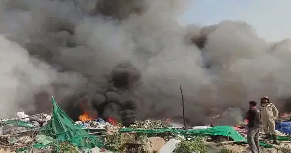 दिल्ली के मजलिस पार्क वन क्षेत्र में आग, बुझाने के प्रयास जारी