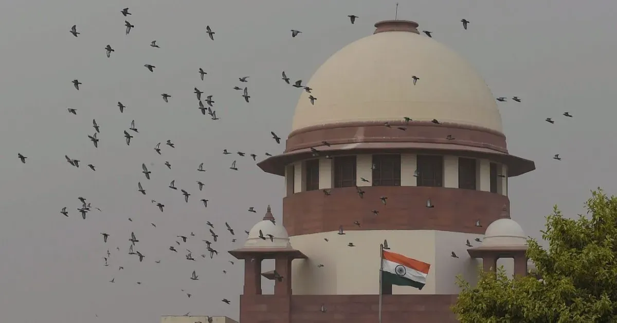 फर्जी चीनी निवेश ऐप मामला: सुप्रीम कोर्ट ने भूपेश अरोड़ा की जमानत रद्द की, रोहित विज की याचिका खारिज