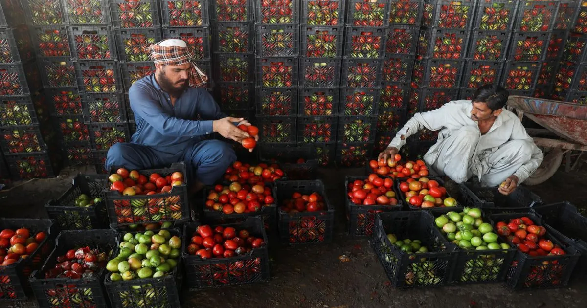 trade-suspension-afghanistan-impact-prices-pakistan