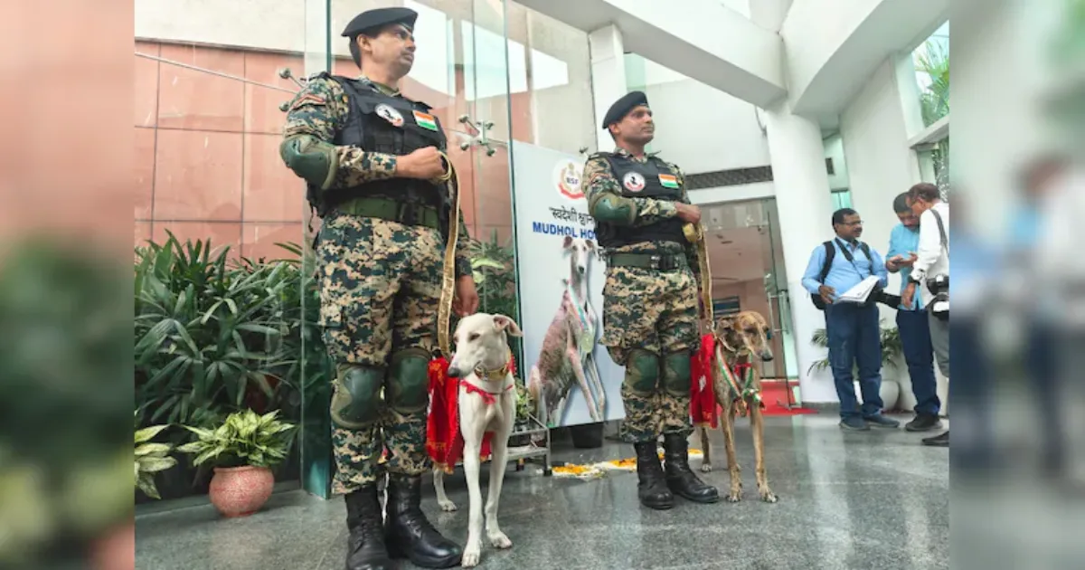 pride-on-paws-bsf-indian-breeds
