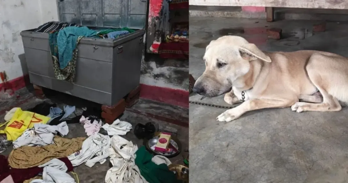 कुत्ते का मुंह टेप से बंद कर बिहार के घर में चोरी, लाखों के जेवर और नकदी ले उड़े चोर
