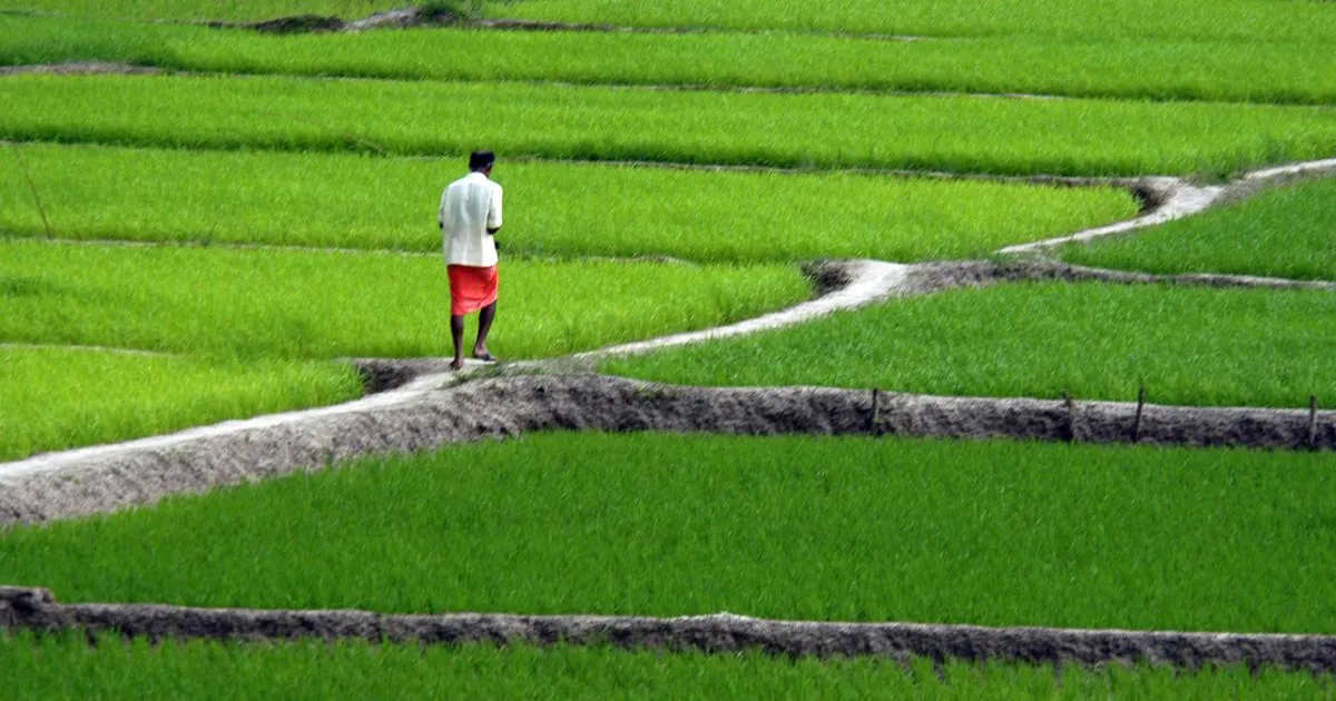 kerala-land-use-rights-for-farmers
