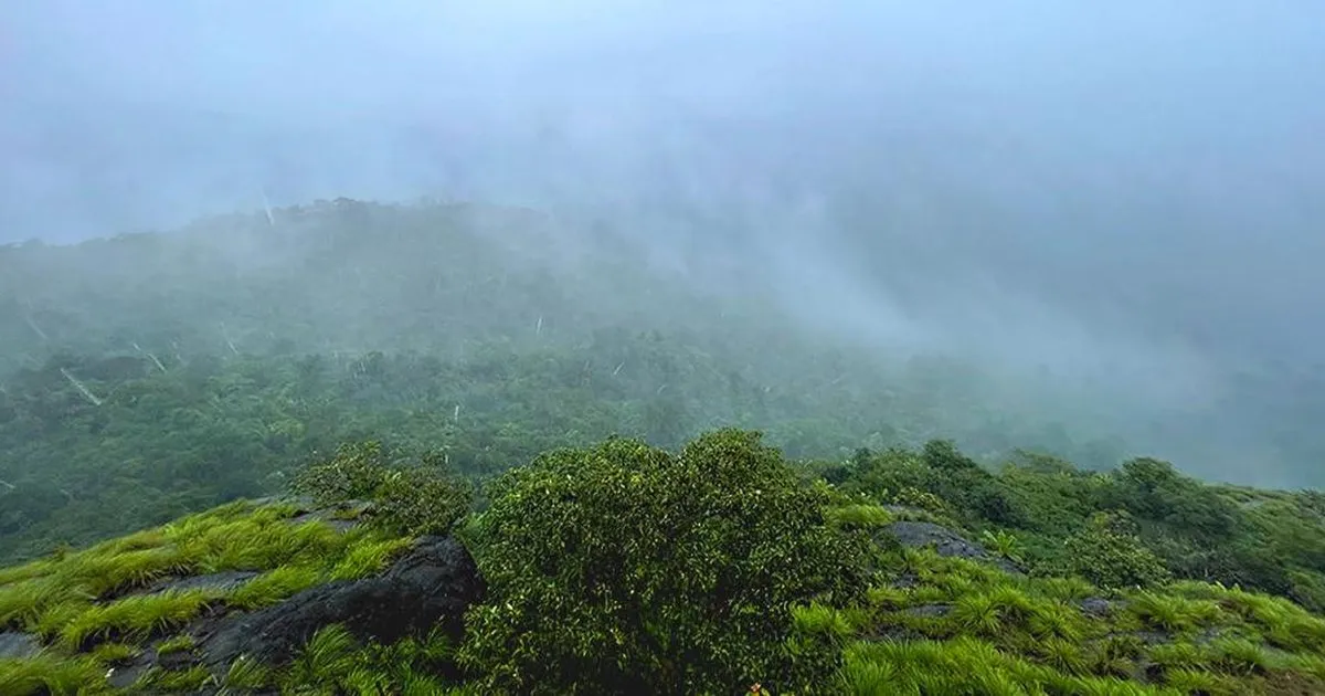 भारत की मानसूनी बारिश का एक चौथाई हिस्सा हवा में ही हो जाता है वाष्पित, आईआईटीएम पुणे के अध्ययन में खुलासा