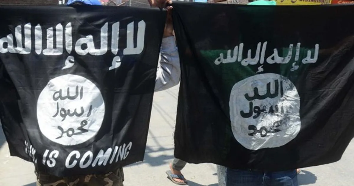 सीरिया का दावा: इस्लामिक स्टेट के वरिष्ठ नेता को मार गिराया