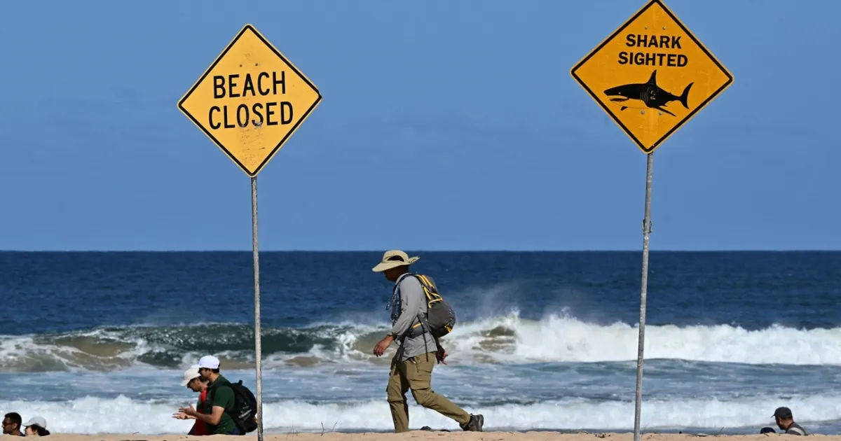 australia-shark-attack-woman-dead-man-critical