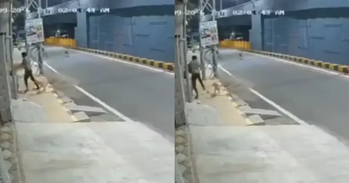 कोयंबटूर में नशे में धुत नाबालिग ने महिला से छेड़छाड़ की, आवारा कुत्तों ने दौड़ाकर भगाया