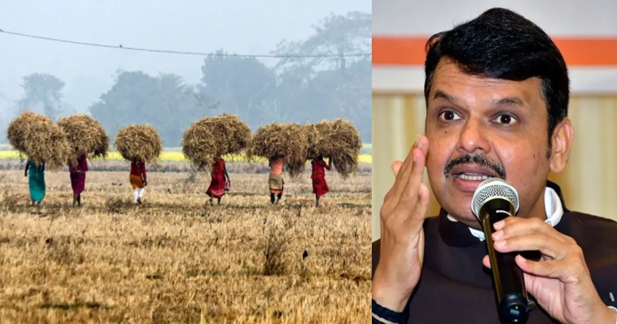 महाराष्ट्र के डेढ़ करोड़ किसानों को मिलेगी ₹5,000 की मदद, दीपावली से पहले खातों में राशि भेजने की तैयारी