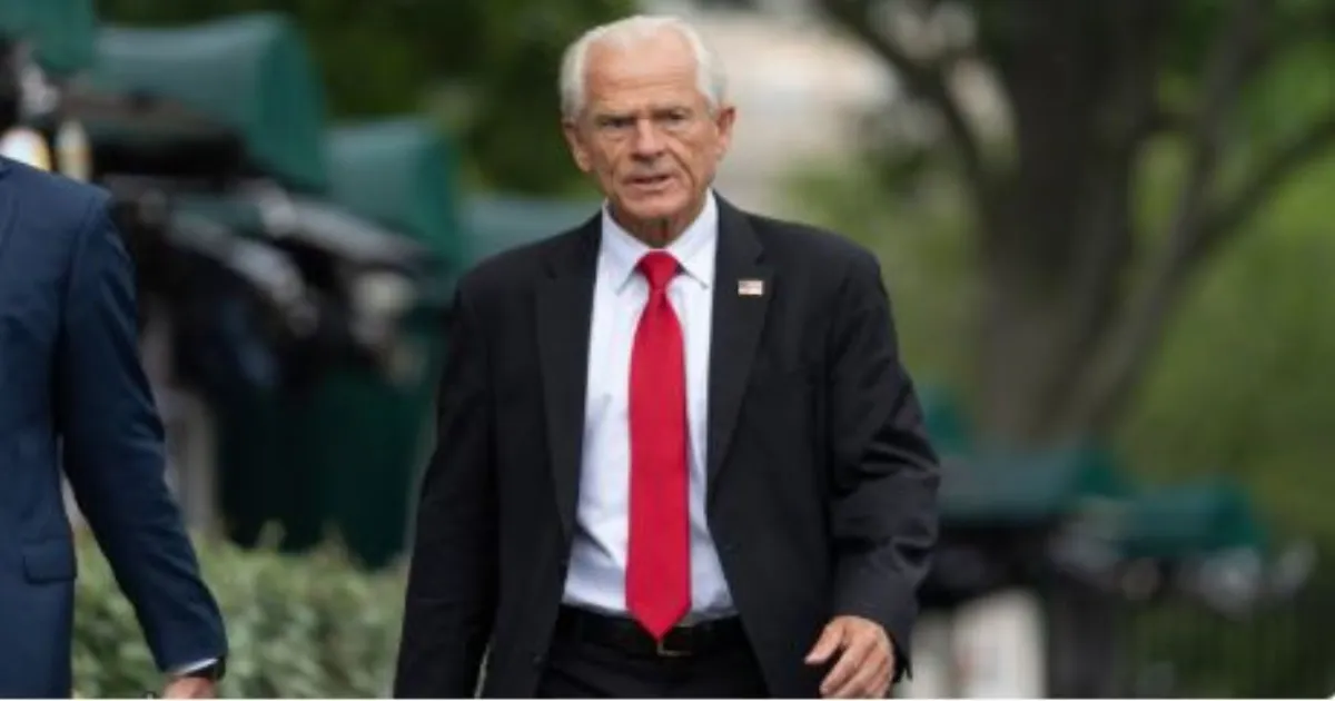 भारत में एआई के लिए अमेरिकी क्यों भुगतान कर रहे हैं? ट्रंप के व्यापार सलाहकार पीटर नवारो का नया हमला