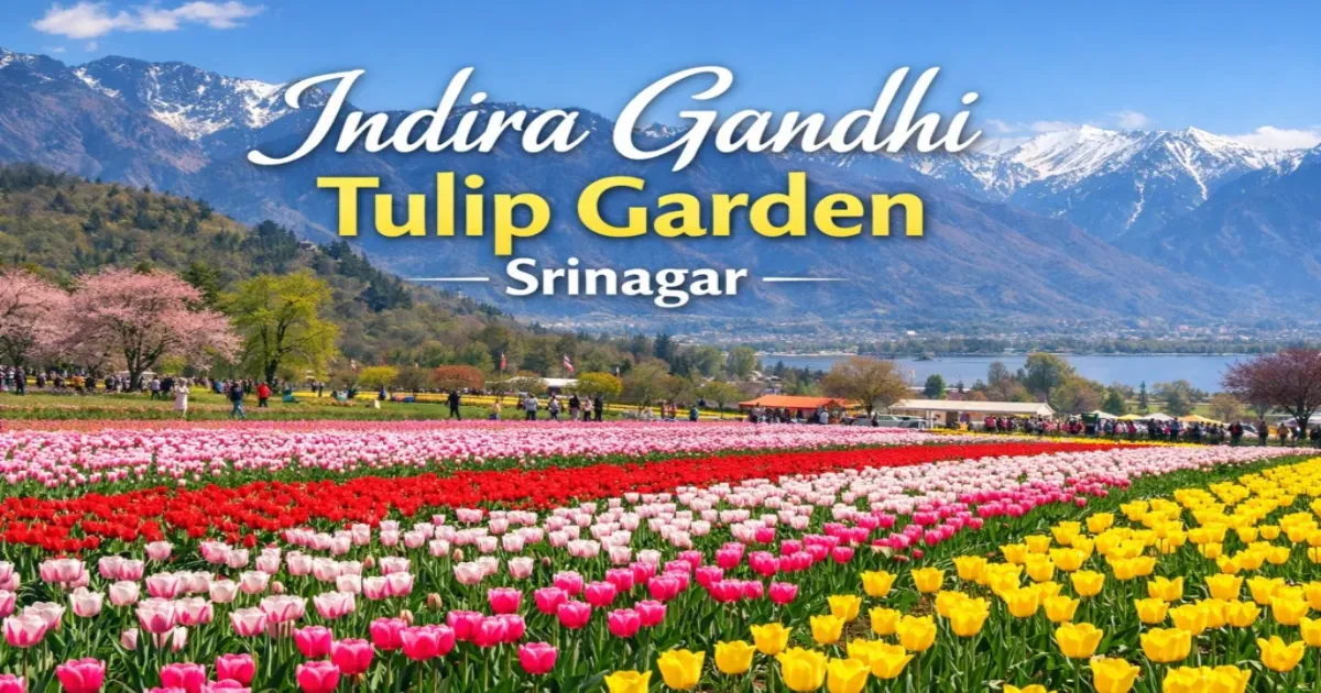 श्रीनगर का इंदिरा गांधी मेमोरियल ट्यूलिप गार्डन तय समय से 10 दिन पहले खुलेगा